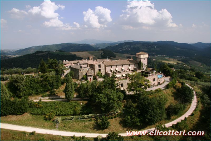 elifoto (230)